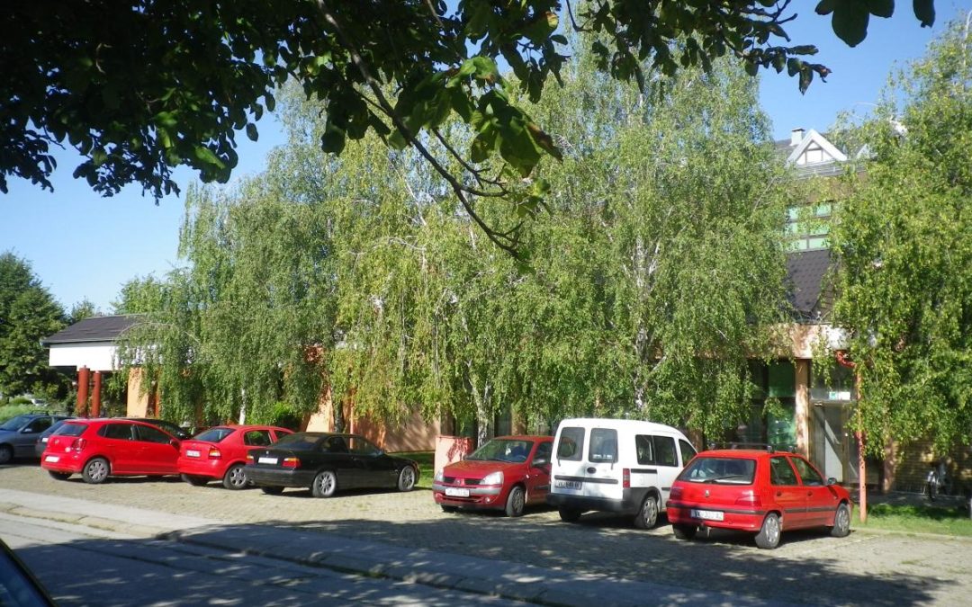 IZVJEŠĆE SA 4. SJEDNICE UPRAVNOG VIJEĆA